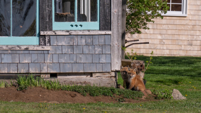 ... mit ihren zwei Jungs