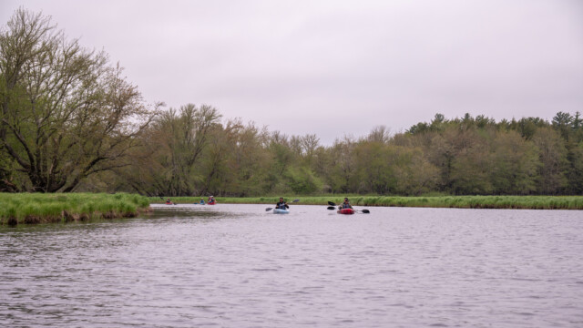 wir sind nicht die Einzigen