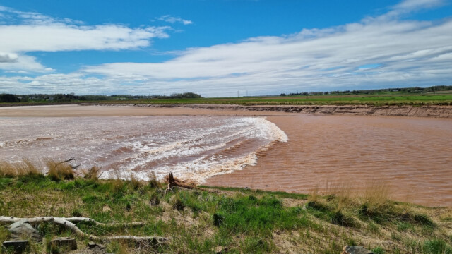 die Flutwelle, Tidel Bore genannt, kommt