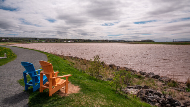 Hochwasser, das Flussbett ist gefĂĽllt