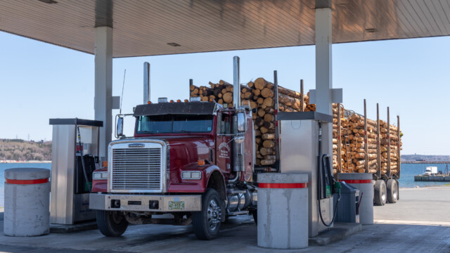 ... hier Trucks genannt