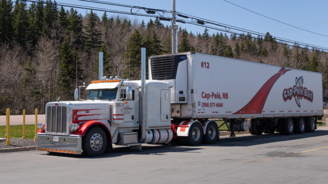 immer wieder fallen uns die riesigen Lastwagen auf...