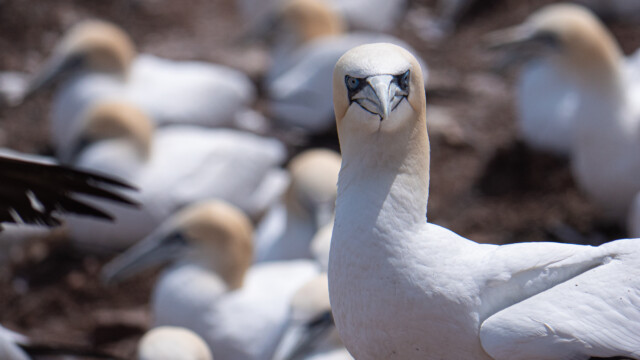 bin ich nicht eine Hübsche?