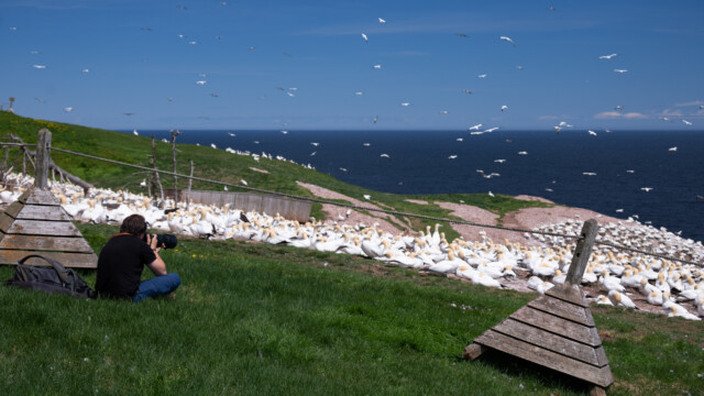 viel Platz zum Fotografieren