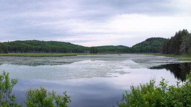 immer wieder kommen wir an schönen Seen vorbei