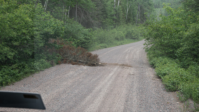 immer liegt wieder etwas im Weg