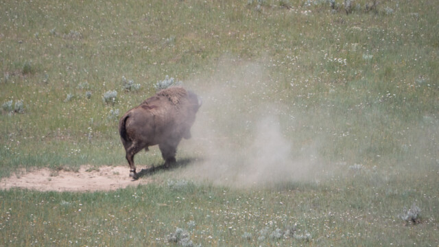 das hat gut getan...