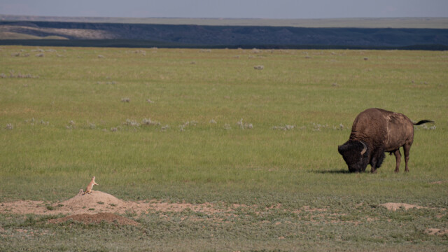 Komme mir ja nicht zu nahe!