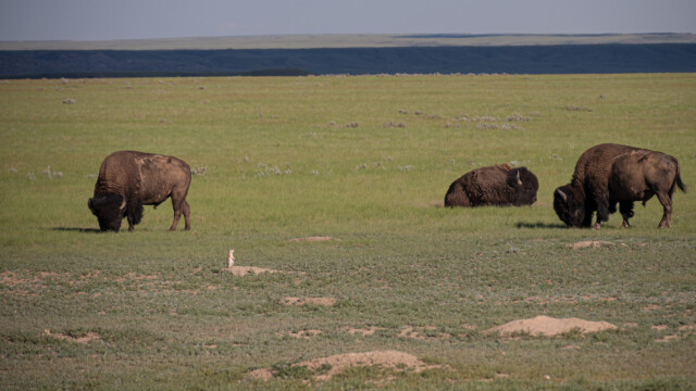 off, da sind ja noch mehr...