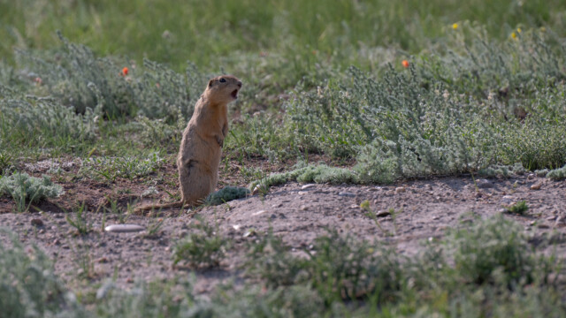 da ist einer nicht zufrieden