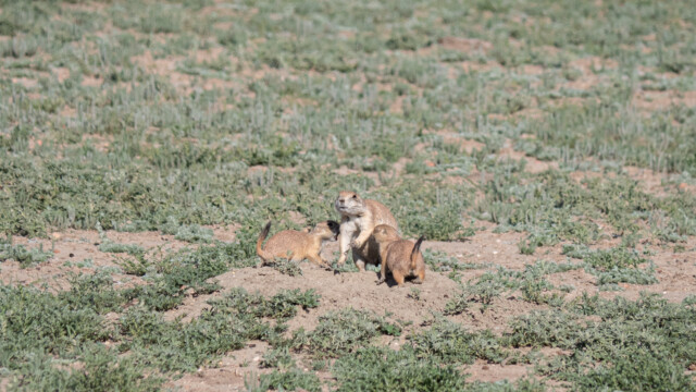 Autsch, nicht alle auf einmal!