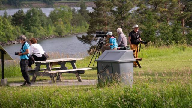 was wird hier denn beobachtet?