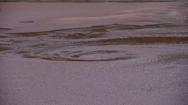 eindrücklicher Wirbel