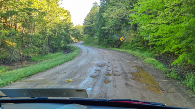 nach etwas nass vom Regen