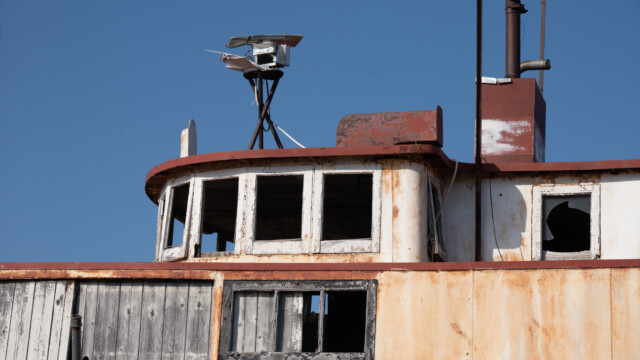 das zu Hause fĂĽr die Schwalben