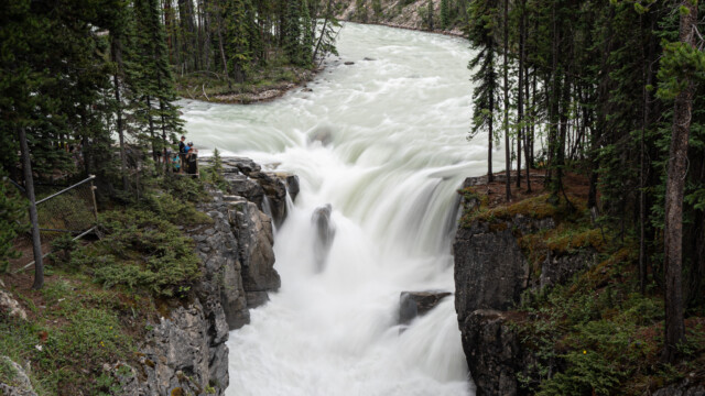Sunwapta Wasserfall