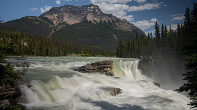 Athabasca-Wasserfall