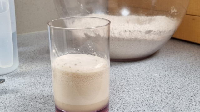 Hefe in warmem Wasser mit etwas Ahornsirup angerĂĽhrt und schon quillt sie auf...