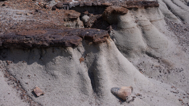 und entdecken nach ĂĽber einer Stunde den ersten Dinosaurier-Knochen, der aus dem Sandstein ragt