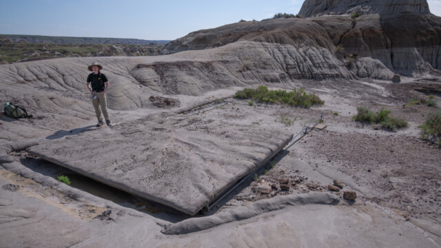 hier ein präparierter Fundort