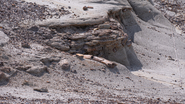 an diesem FundstĂĽck wird zur Zeit aktiv gearbeitet