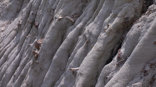 hier in der Steilwand ist die Bergung sehr schwierig