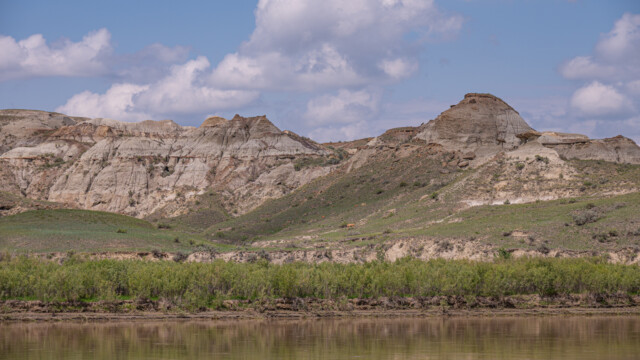 wer genau hinschaut findet das Deer (Reh) den grĂĽnen Hang hinauf laufen