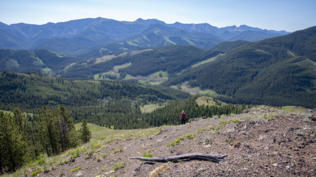 Wanderung auf einen HĂĽgel im Vorgebirge der Rocky Mountains