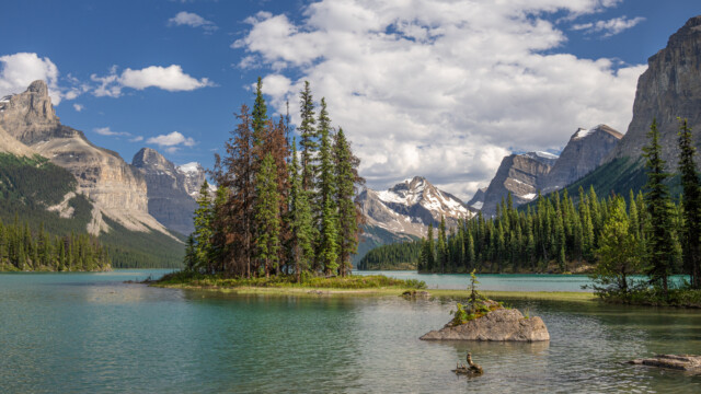 die berĂĽhmte "Geister-Insel" - Spirit Island