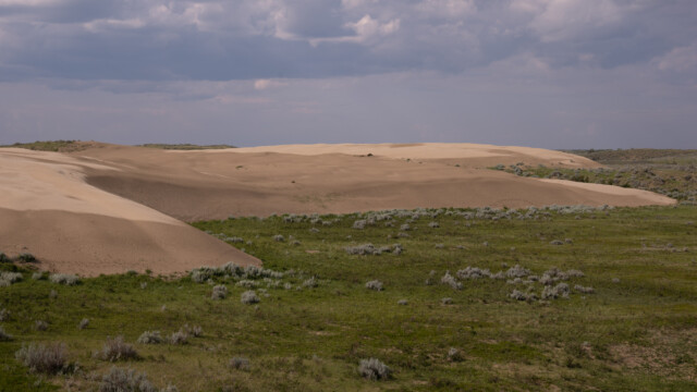 DĂĽne ĂĽber dem grĂĽnen Land
