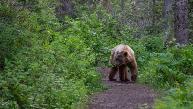 und kommt etwas in unsere Richtung