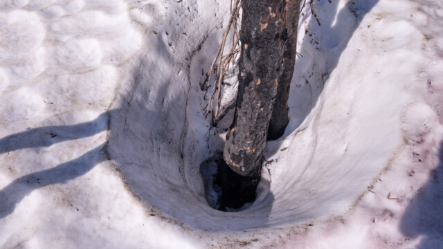 noch ziemlich viel Schnee