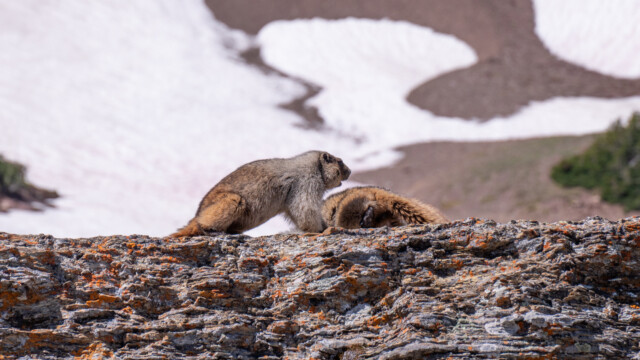 ups, habe ich was falsch gemacht?