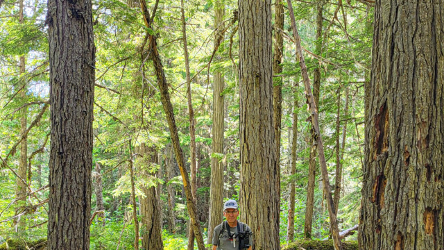 mache ein ziemlich betrĂĽbtes Gesicht wegen den vielen MĂĽcken