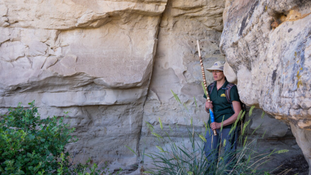 die Rangerin versucht die Ritzereien zu erklären, vieles ist aber auch für sie unklar