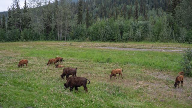 Jung und alt zusammen