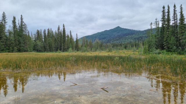 auf dem Weg zu den heissen Quellen