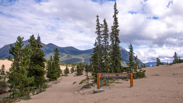 die kleinste Wüste der Welt