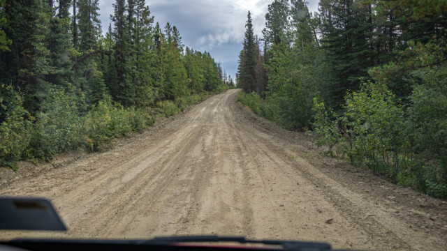 am Anfang durch den Wald