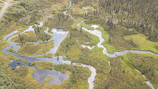 wunderschöne Bachläufe