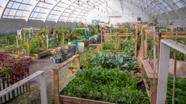 ... wird heute als "Schrebergarten" für Inuvik benutzt