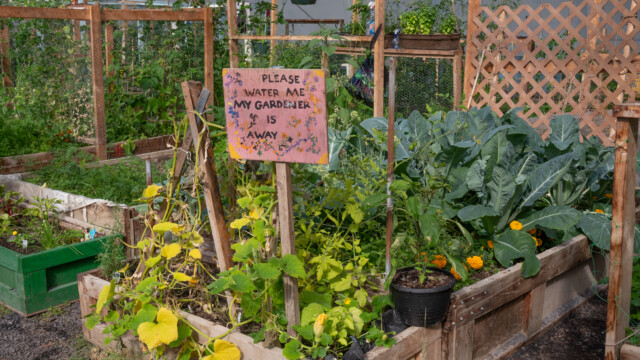 interessantes Schild: Der Besitzer ist abwesend, bitte giessen