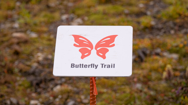 gute Markierung der Wanderwege