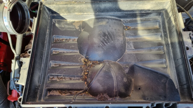 ganz schön viel Dreck unter dem Luftfilter