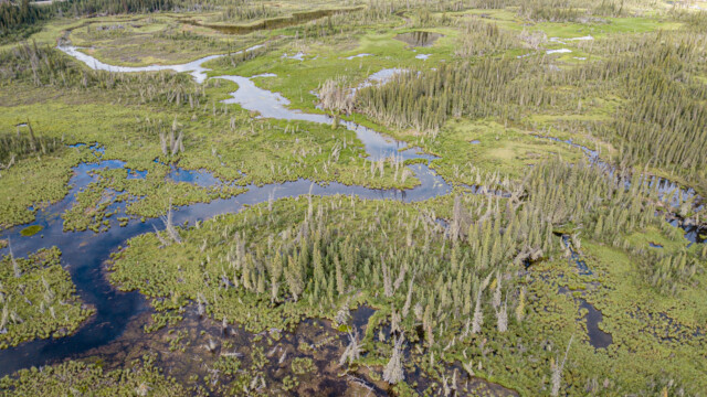 fantastische Flusslandschaft am Robert Campbell Highway von oben; Drohnenaufnahme