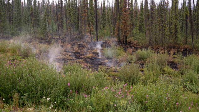 es qualmt noch aus dem Boden