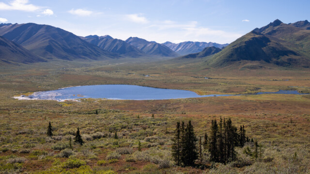 auf dem Weg aus dem Park, auch hier schon etwas Rot-Verfärbung