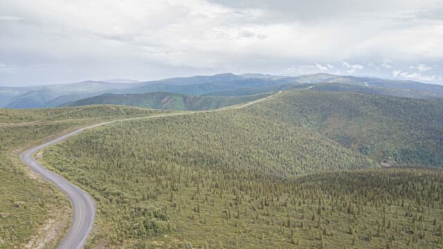 Top of the World Highway, entlang der Baumgrenze