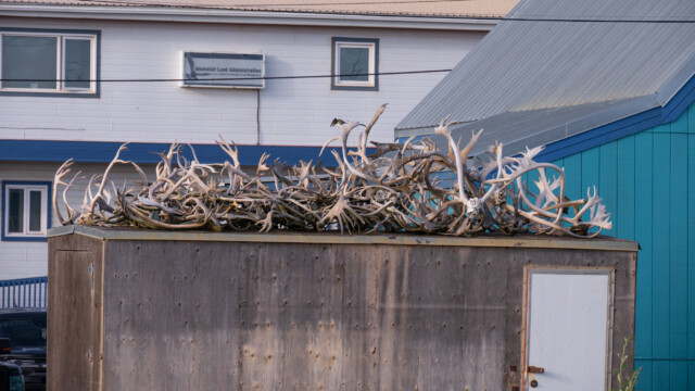 hier wohnt wohl ein Jäger