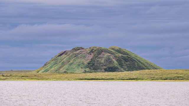 Pingo herangezoomt mit dem Teleobjektiv